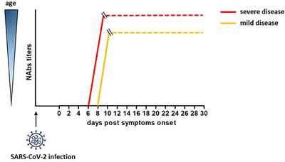 Humoral Immune Responses in COVID-19 Patients: A Window on the State of the Art